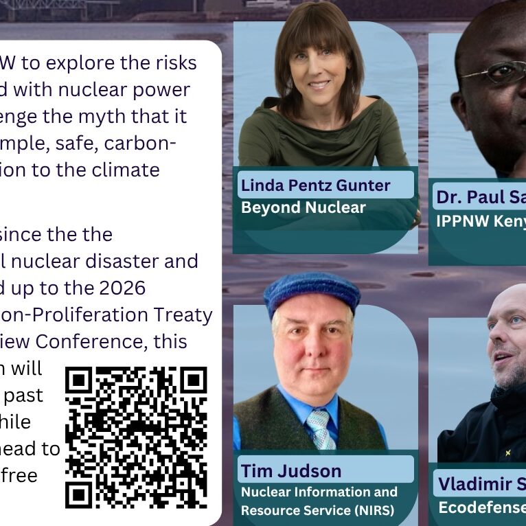 Nuclear Power is Not the Solution - 1